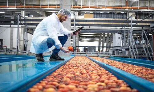 Food & Beverage Manufacturers